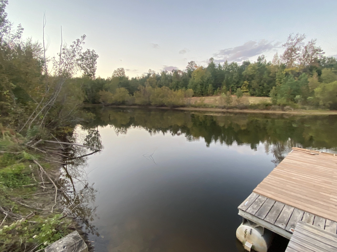 Pond with a dock